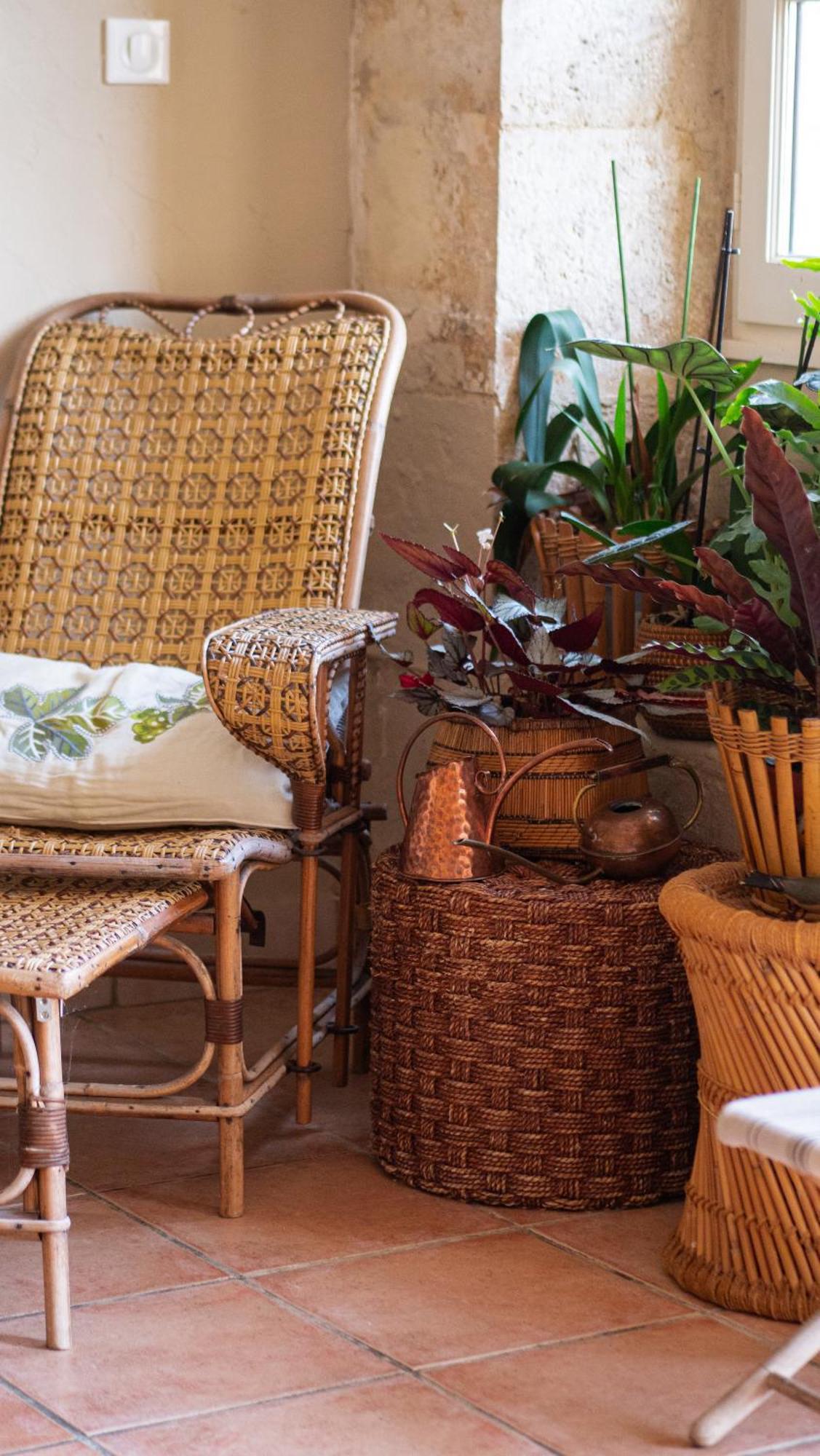 Sainte-Christie Propriete Le Monneton B&B 외부 사진